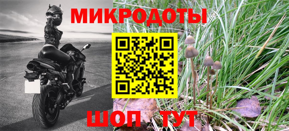 Галлюциногенные грибы Psilocybe Бахчисарай